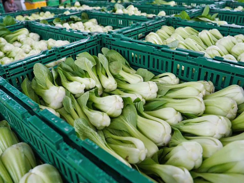 塑料周轉筐應用（yòng）於超市（shì）菜