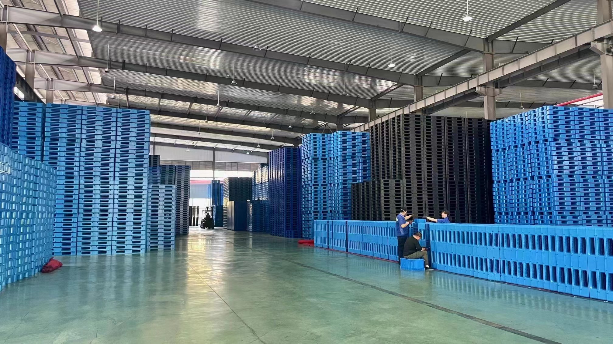 江蘇www.91組織員工赴重慶力優分(fèn)廠參觀學習